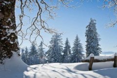 能吸引小朋友的注意力