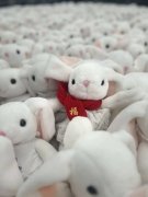 新增订单覆盖全国100多座城市